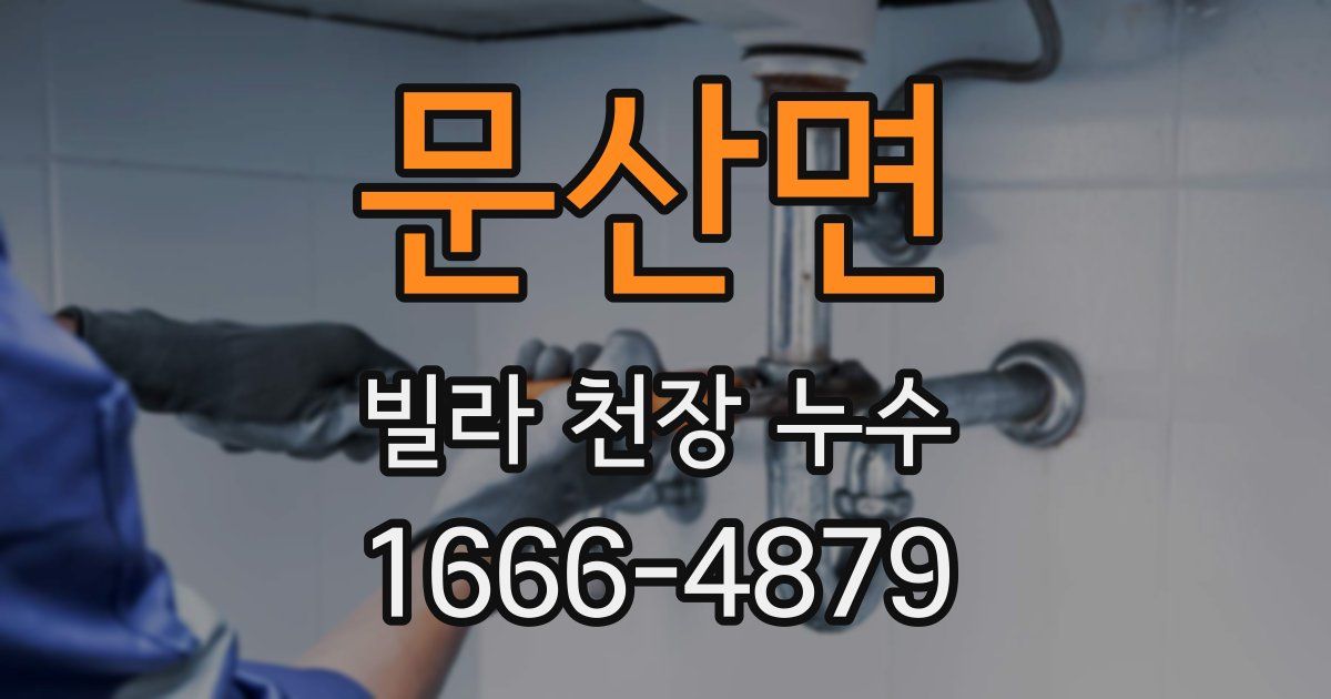 문산면 빌라 천장 누수