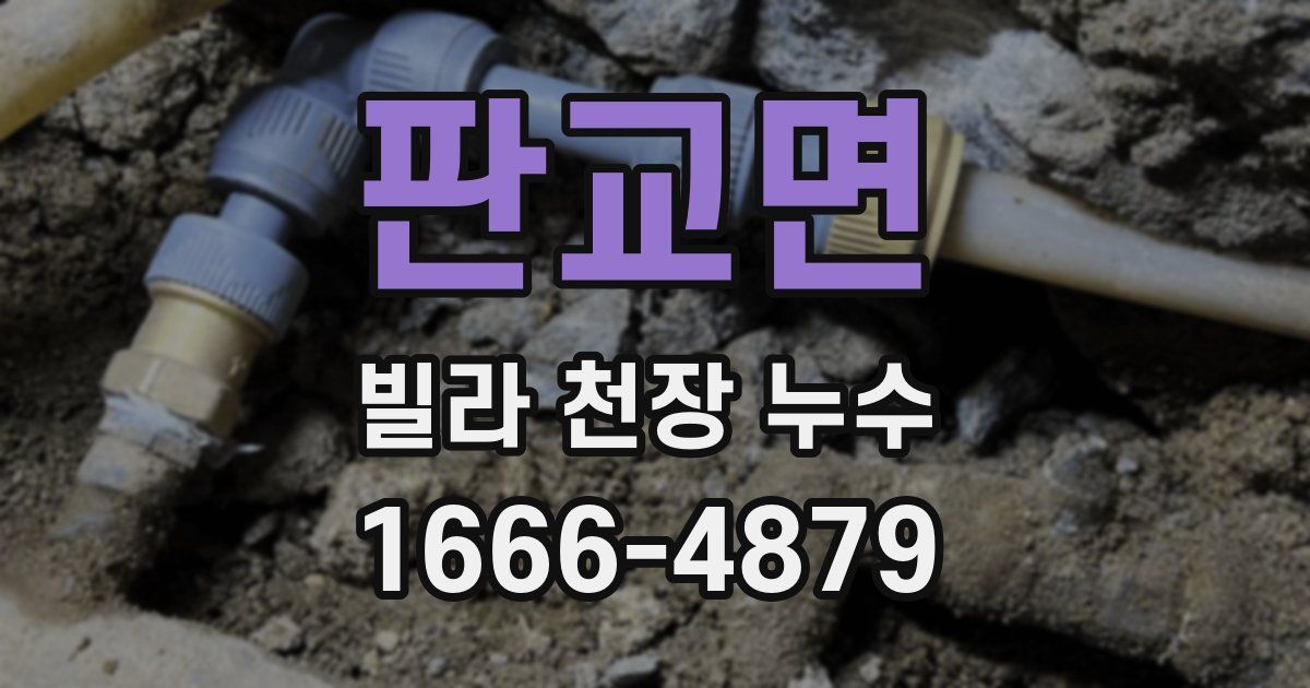 판교면 빌라 천장 누수