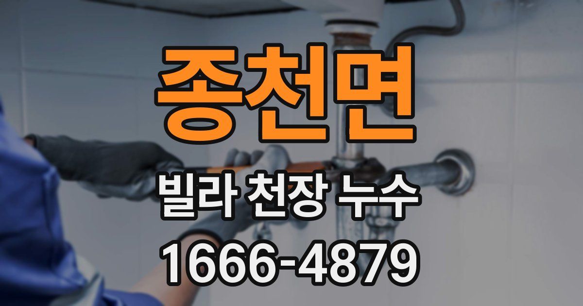 종천면 빌라 천장 누수