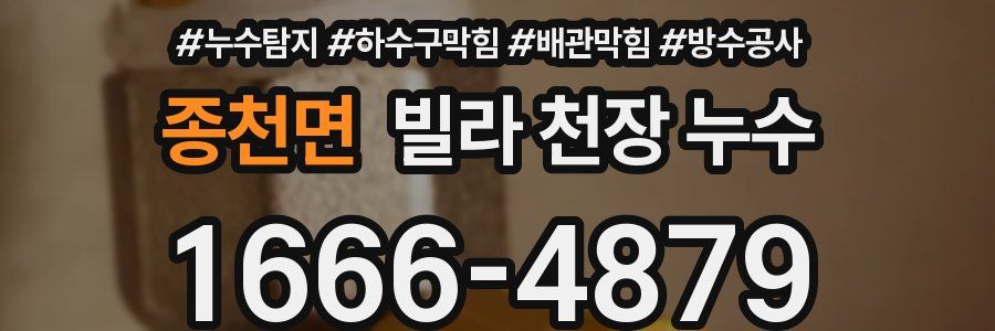 종천면 빌라 천장 누수