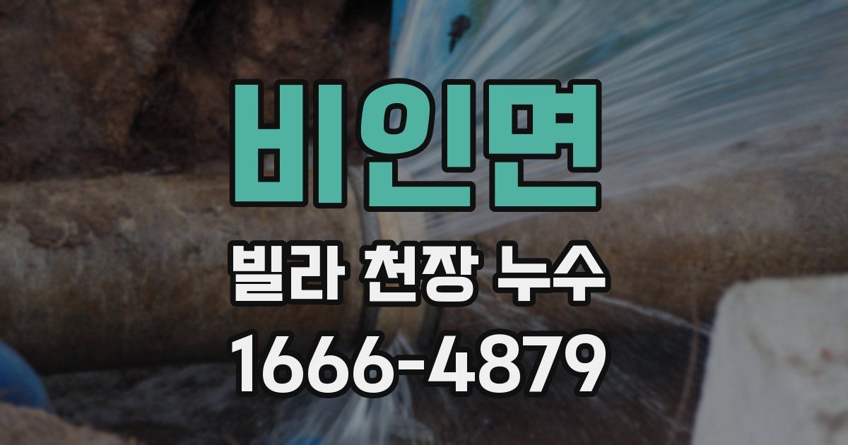 비인면 빌라 천장 누수