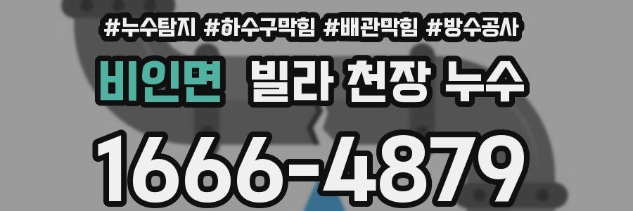 비인면 빌라 천장 누수