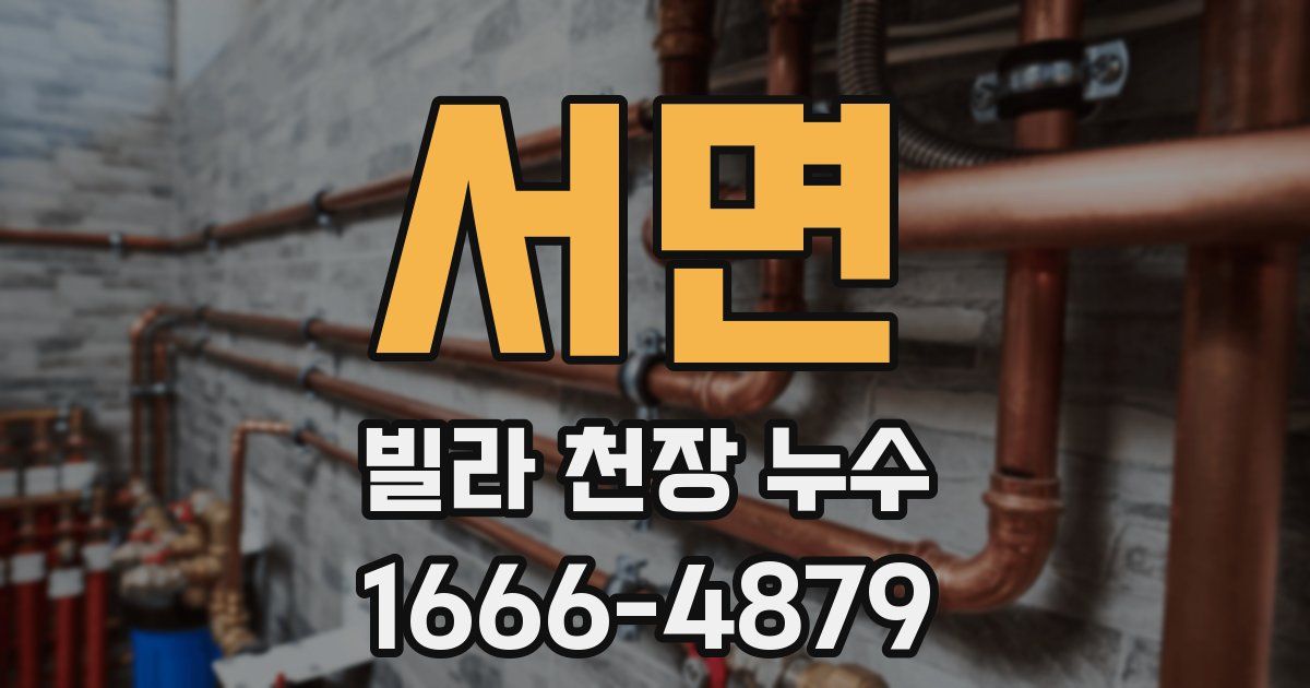서면 빌라 천장 누수