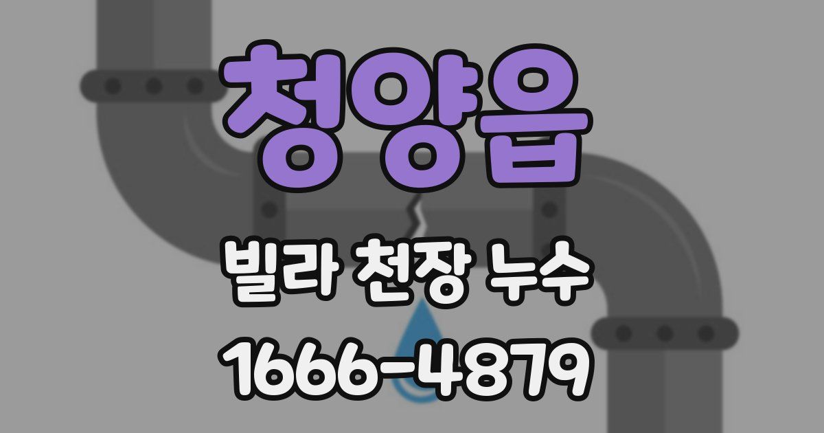 청양읍 빌라 천장 누수