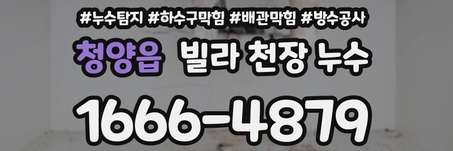 청양읍 빌라 천장 누수