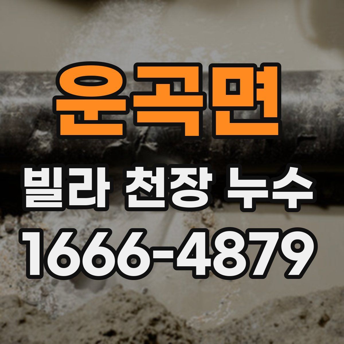 운곡면 빌라 천장 누수