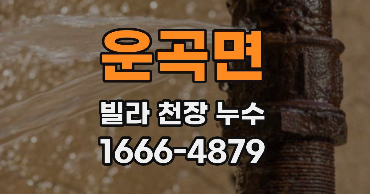 운곡면 빌라 천장 누수