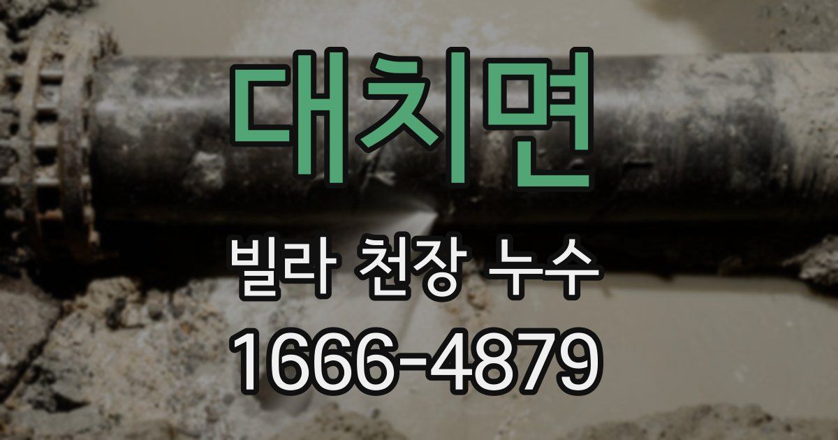 대치면 빌라 천장 누수