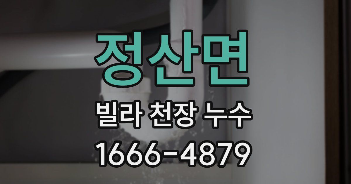 정산면 빌라 천장 누수