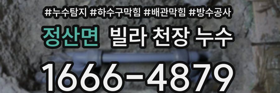 정산면 빌라 천장 누수