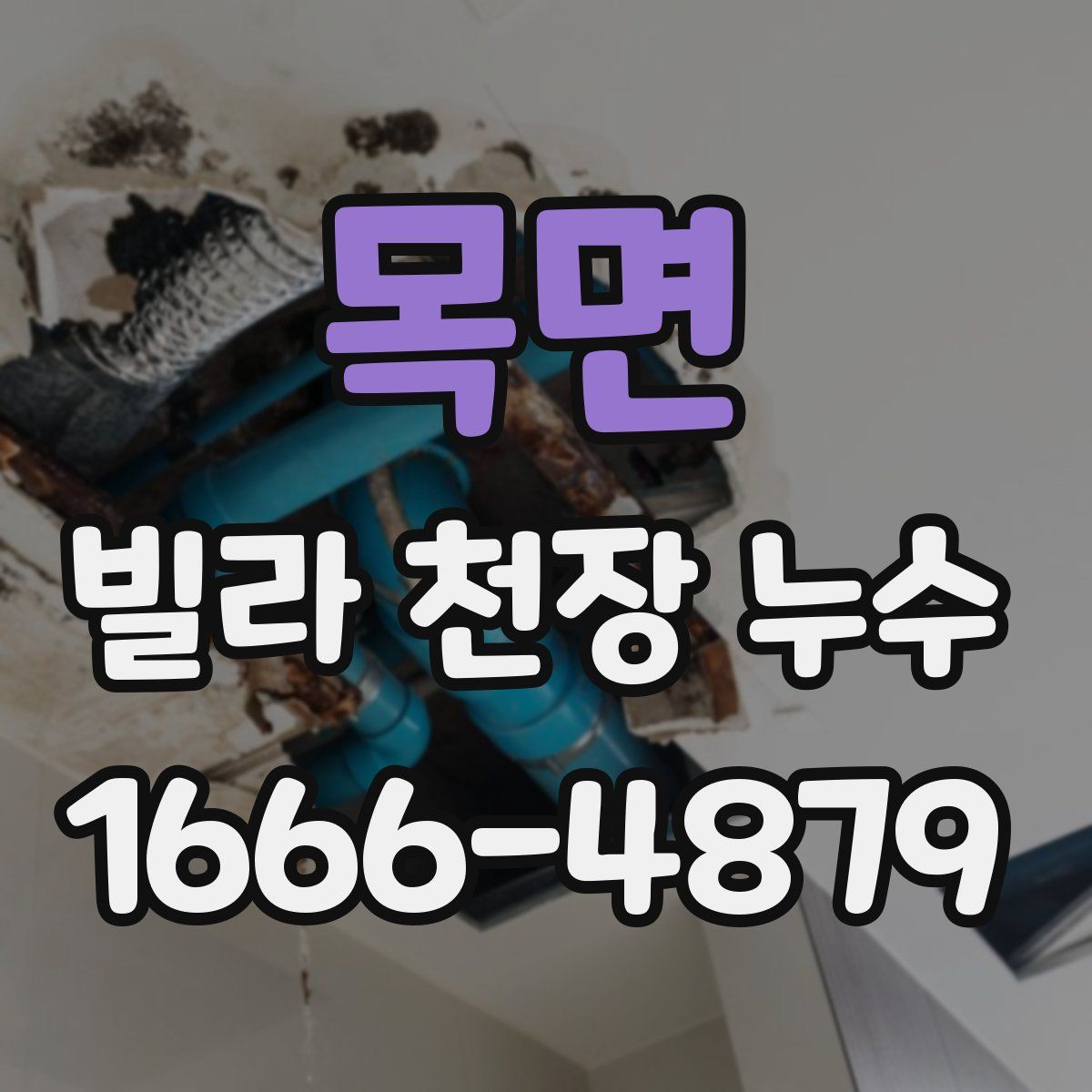 목면 빌라 천장 누수