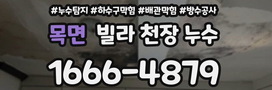 목면 빌라 천장 누수