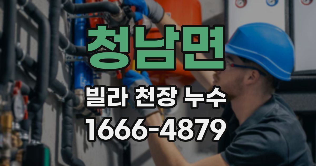 청남면 빌라 천장 누수