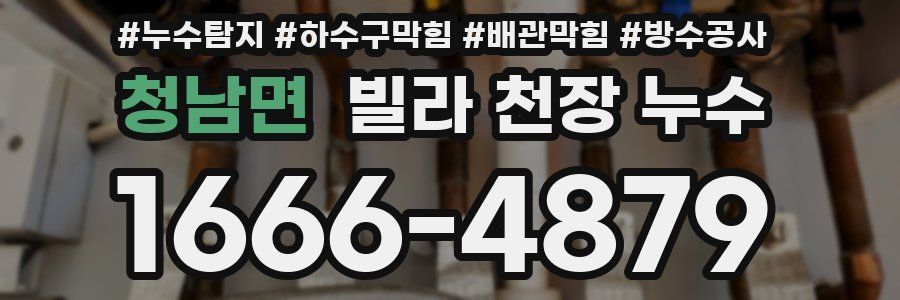 청남면 빌라 천장 누수