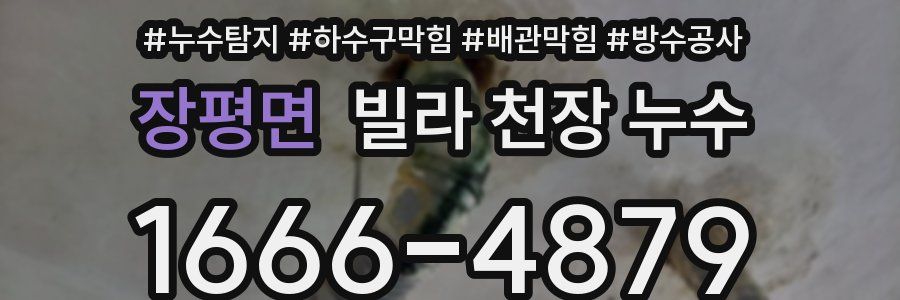 장평면 빌라 천장 누수