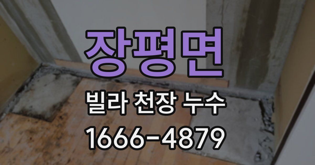 장평면 빌라 천장 누수