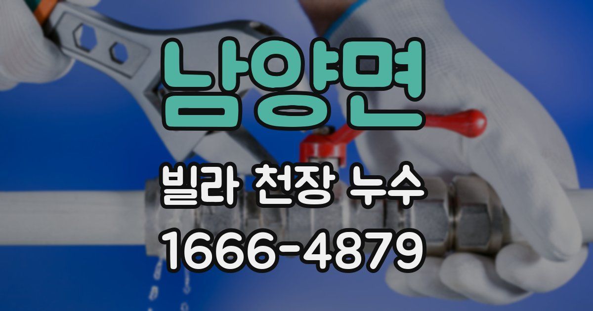 남양면 빌라 천장 누수