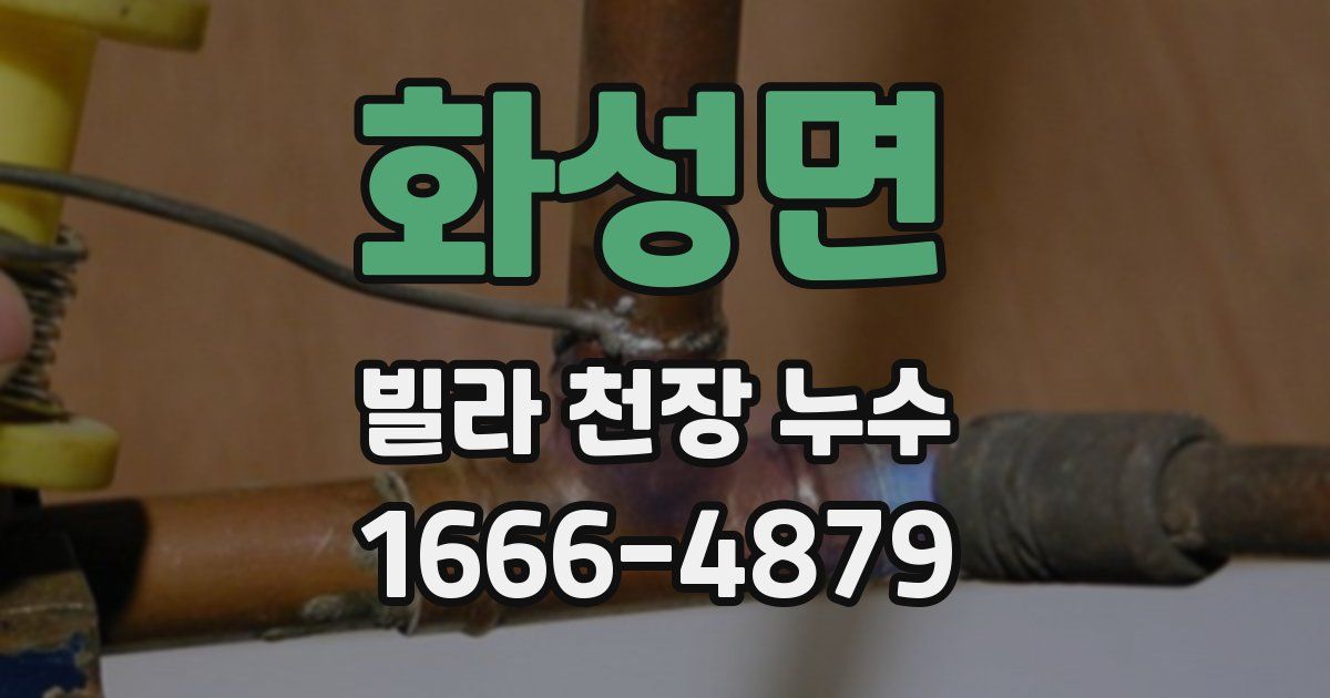 화성면 빌라 천장 누수