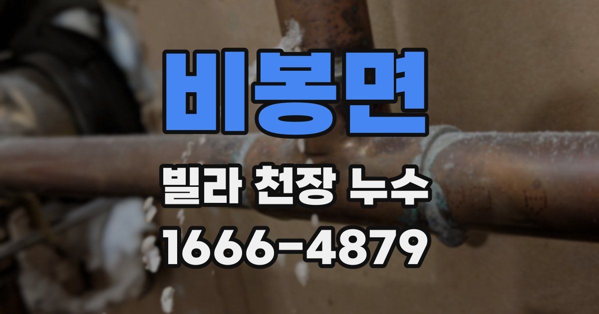 비봉면 빌라 천장 누수