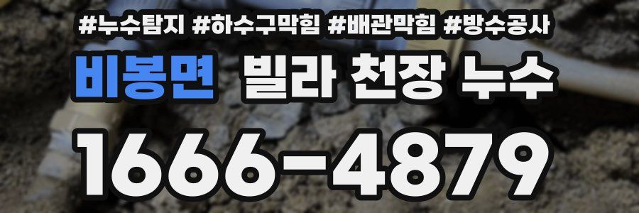 비봉면 빌라 천장 누수