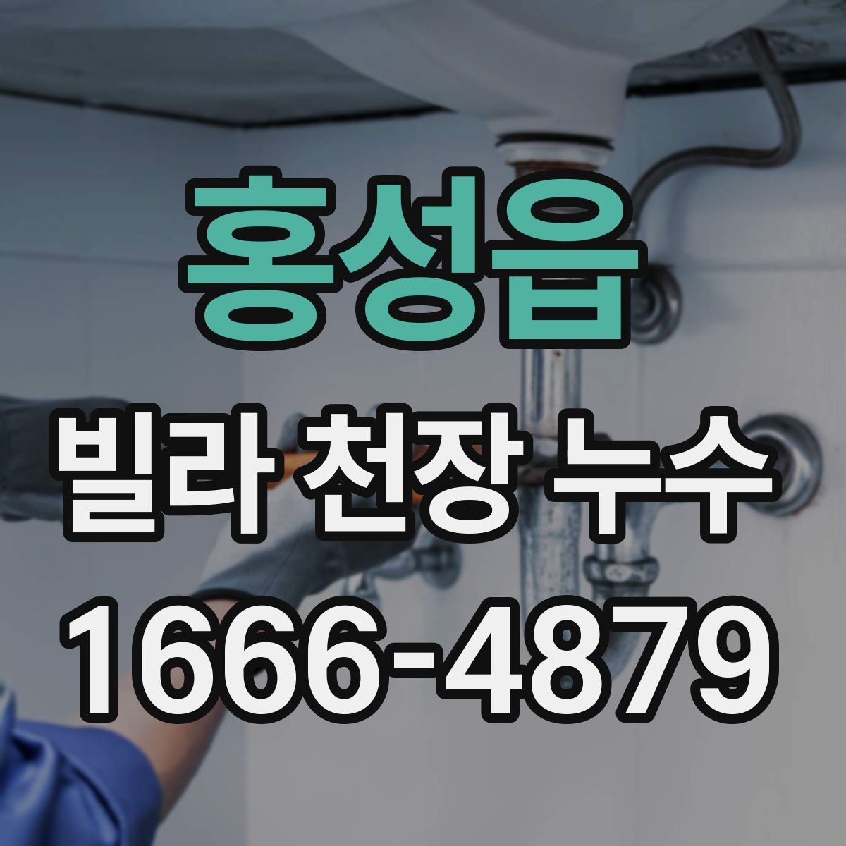 홍성읍 빌라 천장 누수