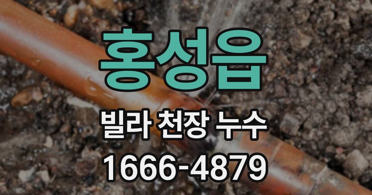 홍성읍 빌라 천장 누수