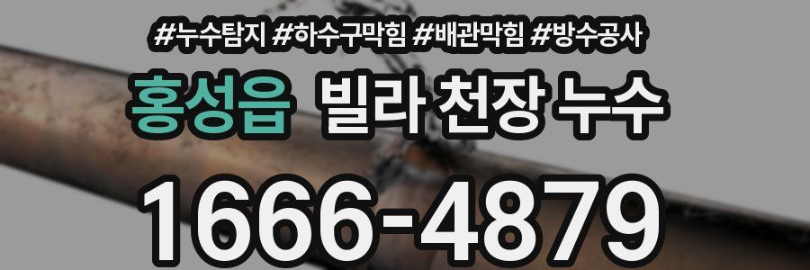 홍성읍 빌라 천장 누수