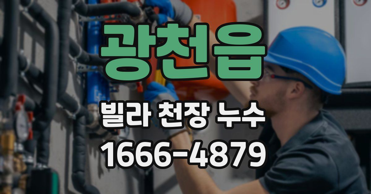 광천읍 빌라 천장 누수