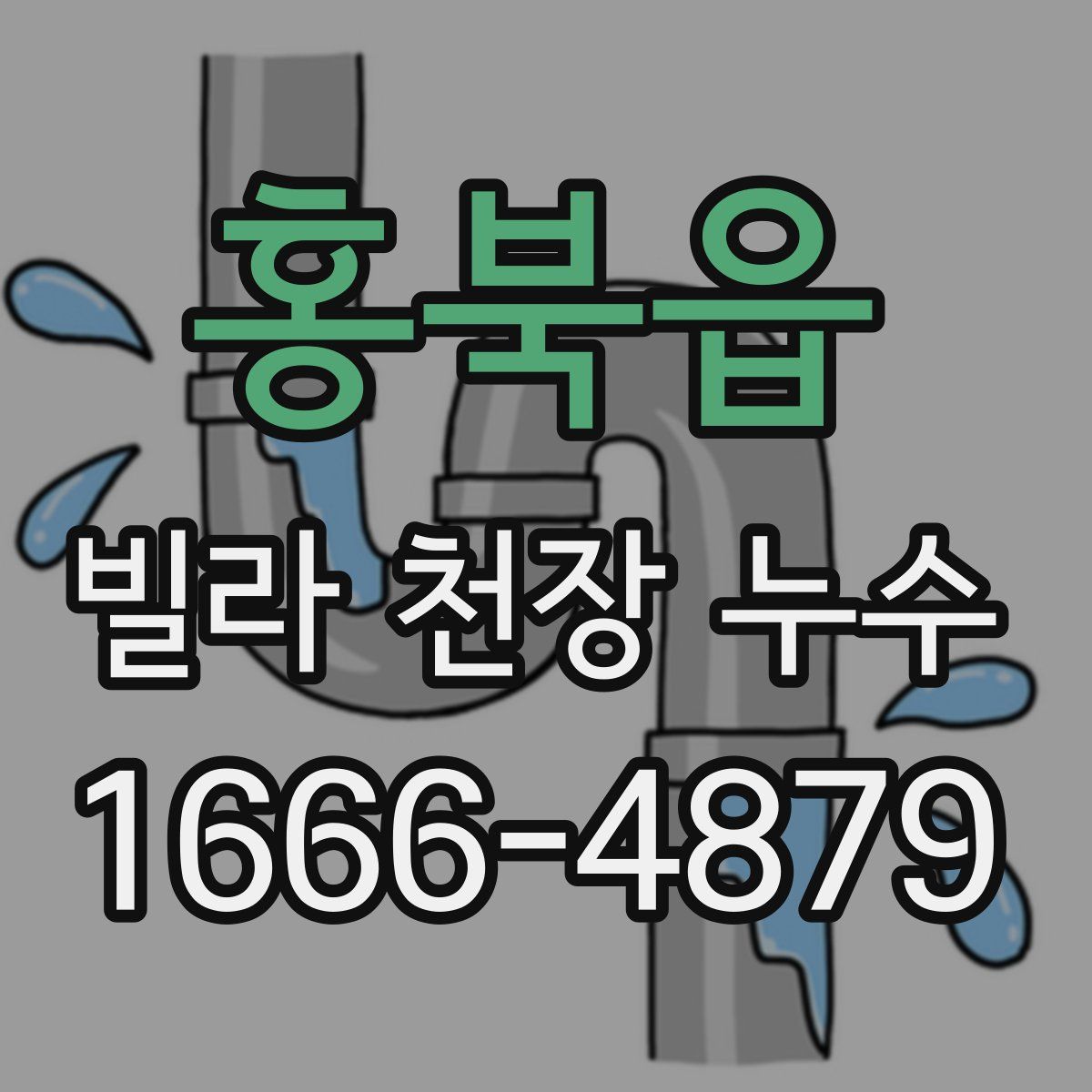 홍북읍 빌라 천장 누수