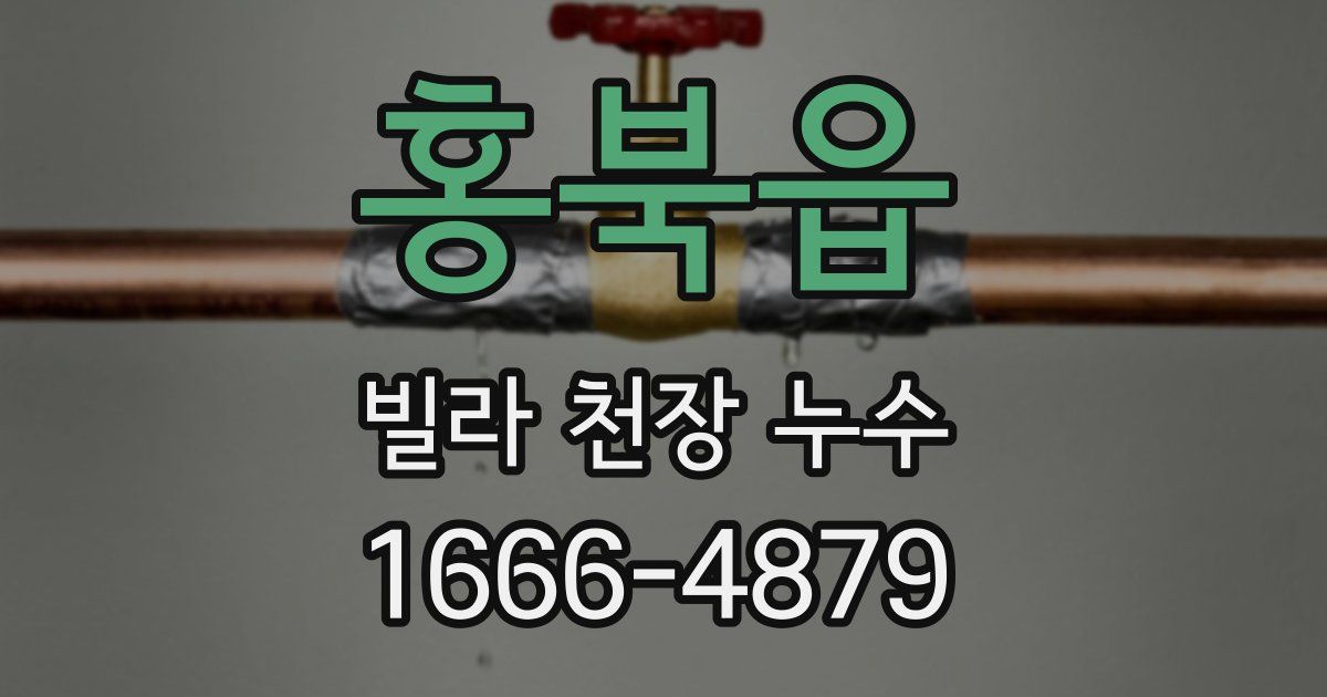 홍북읍 빌라 천장 누수
