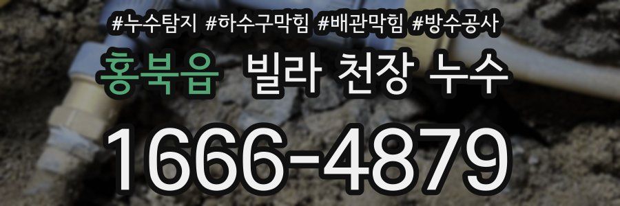 홍북읍 빌라 천장 누수