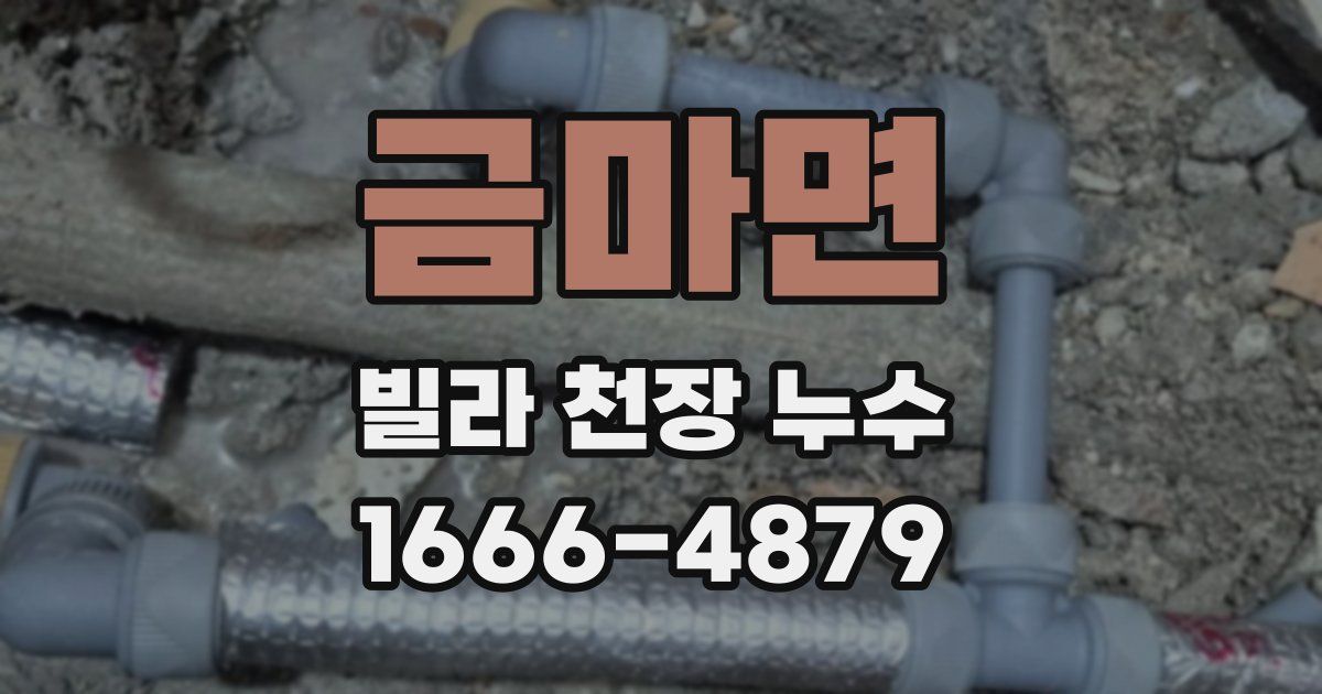 금마면 빌라 천장 누수