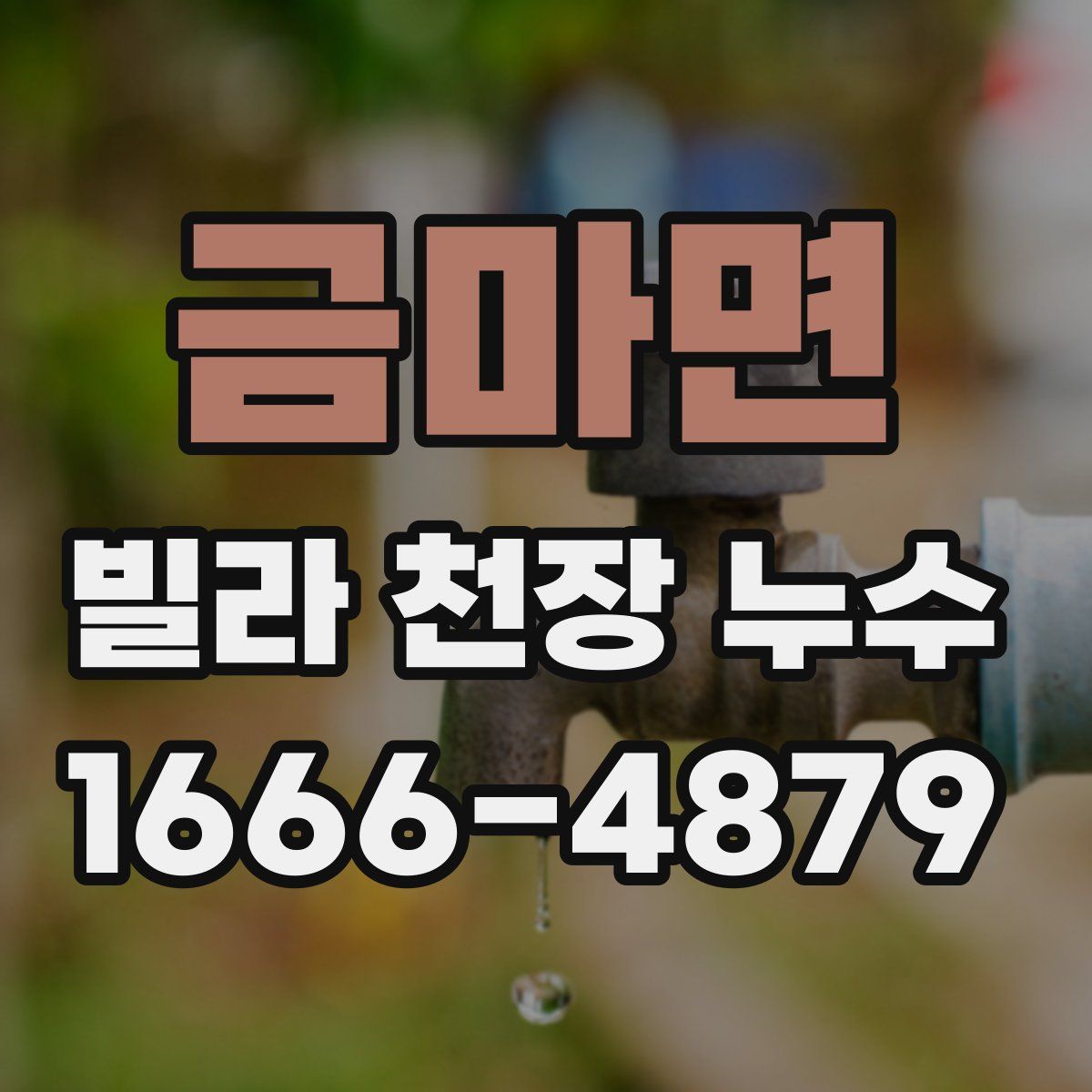 금마면 빌라 천장 누수