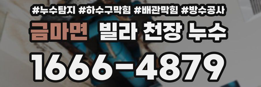 금마면 빌라 천장 누수