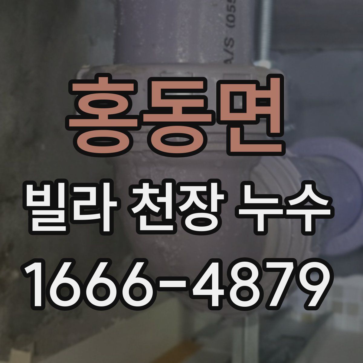 홍동면 빌라 천장 누수