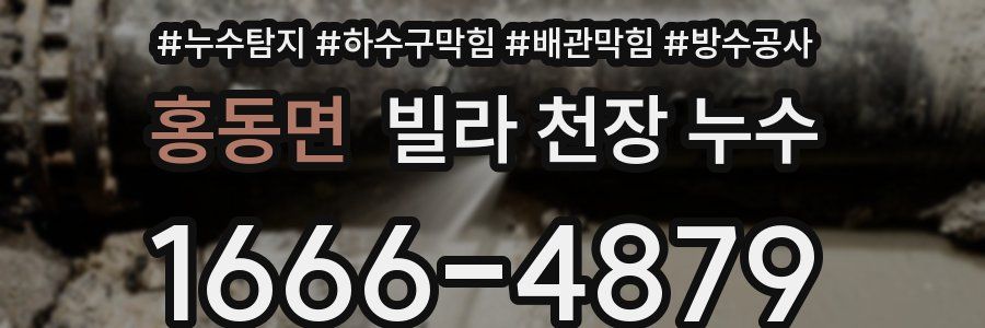 홍동면 빌라 천장 누수