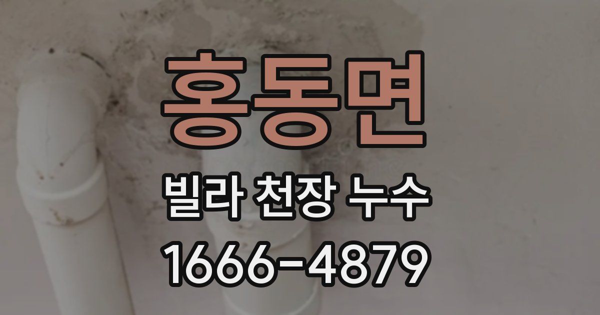 홍동면 빌라 천장 누수