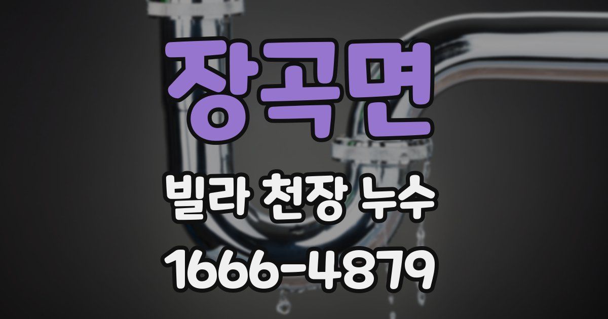 장곡면 빌라 천장 누수