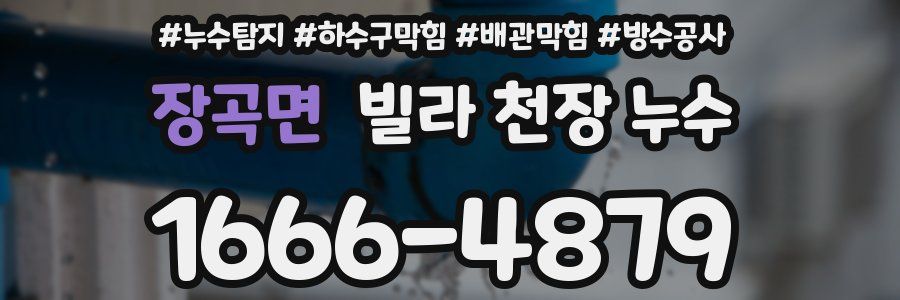 장곡면 빌라 천장 누수