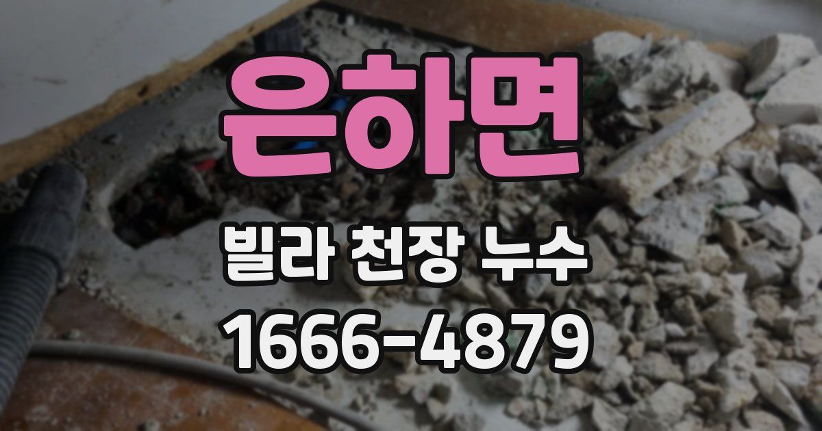 은하면 빌라 천장 누수