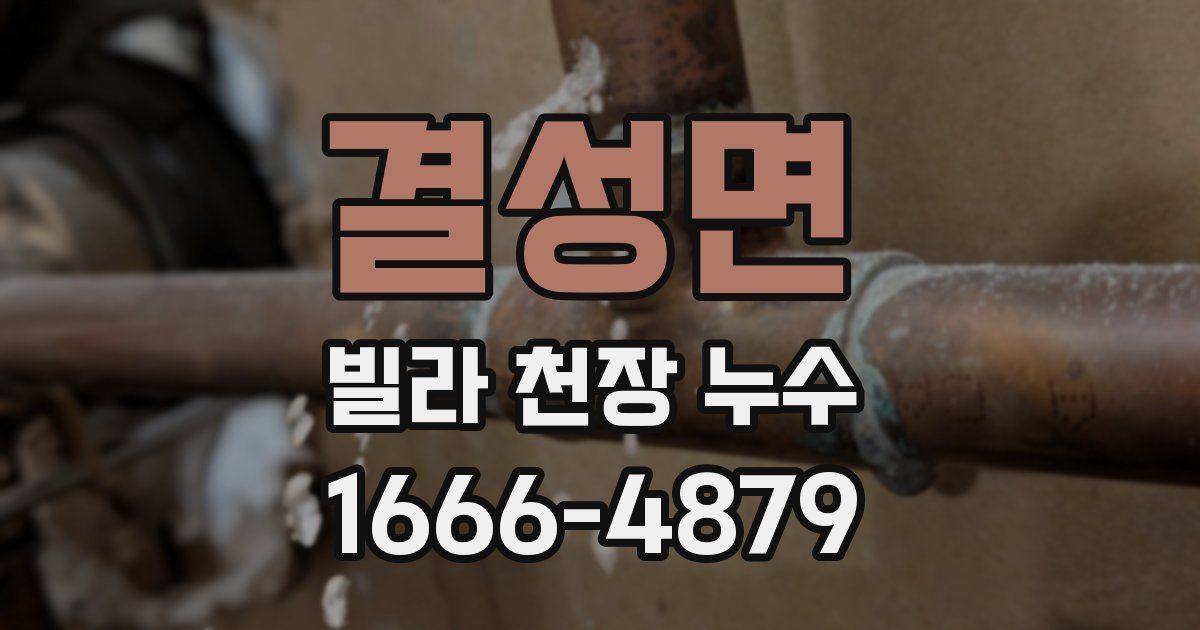 결성면 빌라 천장 누수