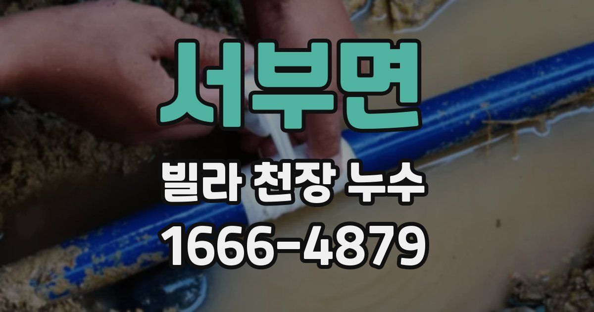 서부면 빌라 천장 누수