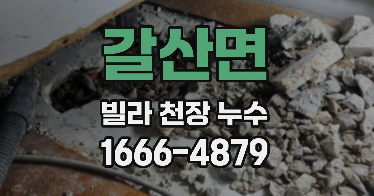 갈산면 빌라 천장 누수