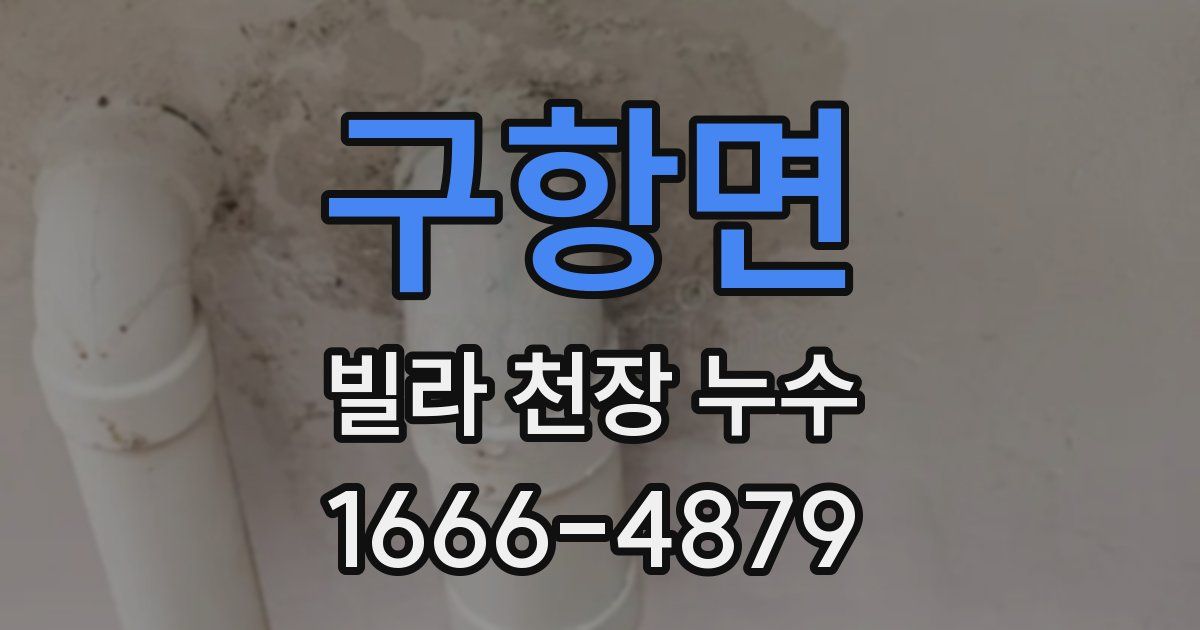 구항면 빌라 천장 누수