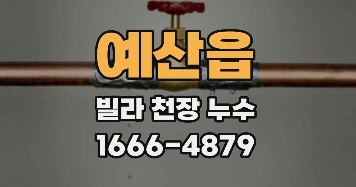 예산읍 빌라 천장 누수