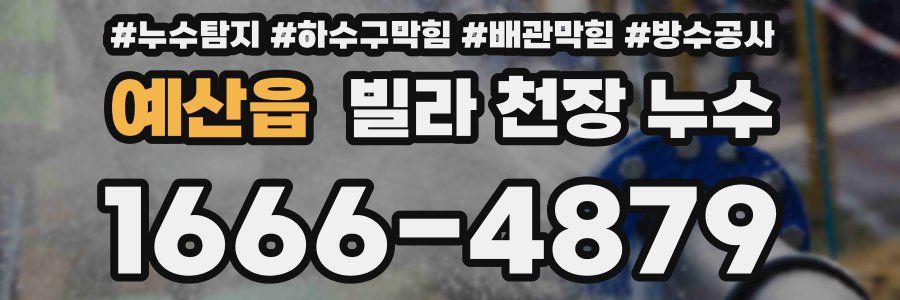 예산읍 빌라 천장 누수