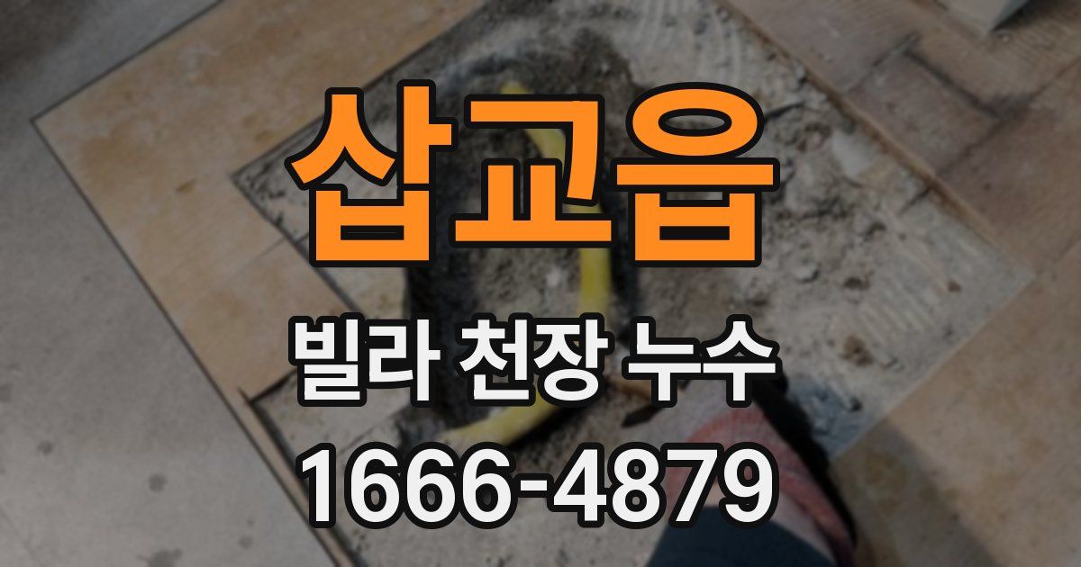 삽교읍 빌라 천장 누수