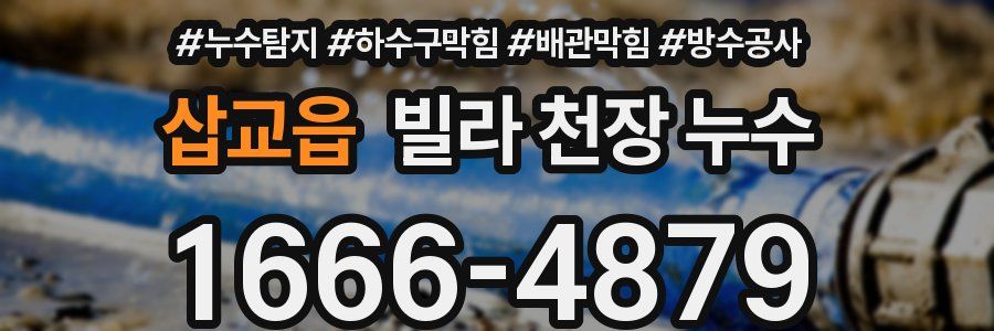 삽교읍 빌라 천장 누수