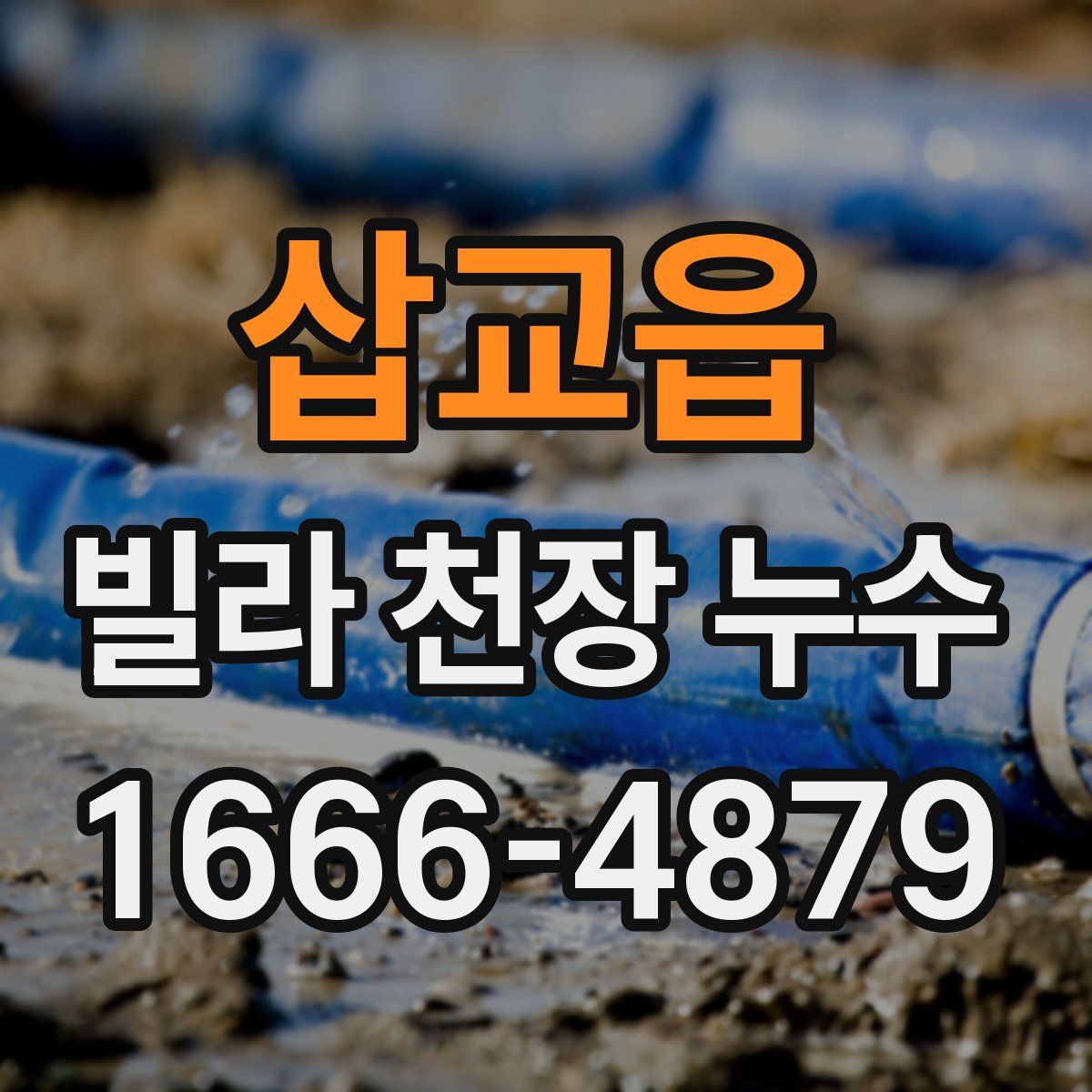 삽교읍 빌라 천장 누수
