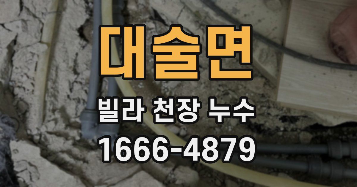 대술면 빌라 천장 누수
